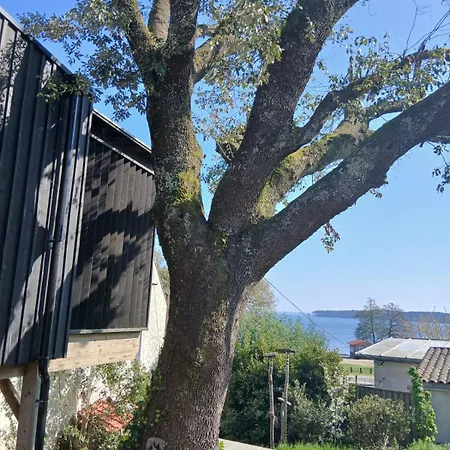 Perchée Avec Vue Imprenable Sur Le De